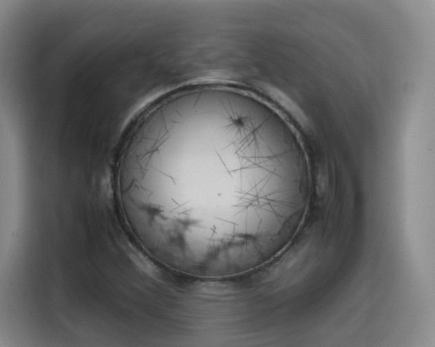 X0000115581356200911171001