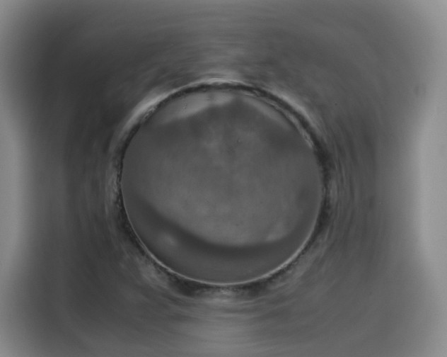 X0000115581359200911171001