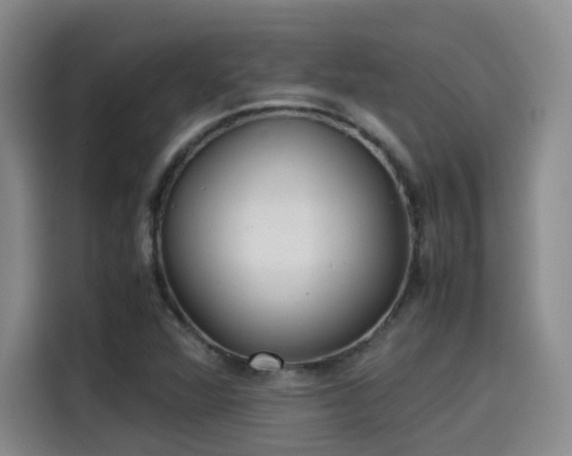 X0000115581360200911171001