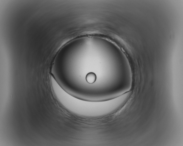 X0000115581361200911171001