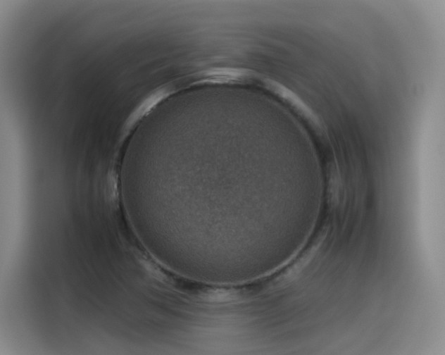 X0000115581362200911171001