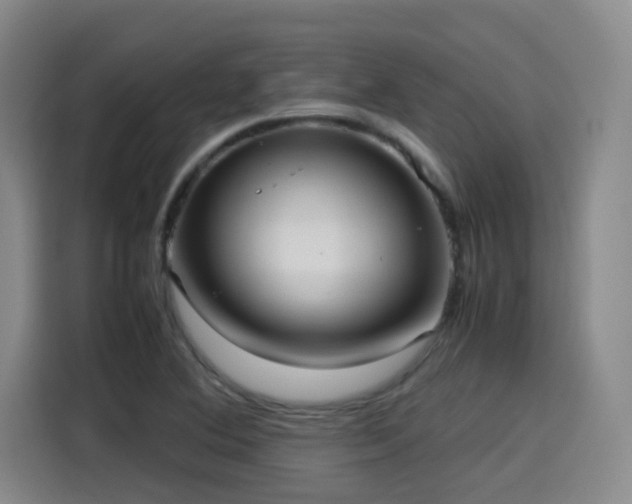 X0000115581364200911171001