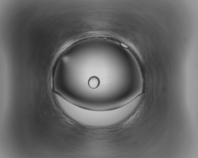 X0000115581365200911171001