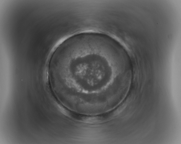 X0000115581367200911171001