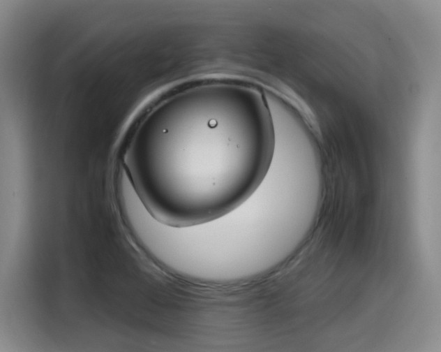 X0000115581368200911171001