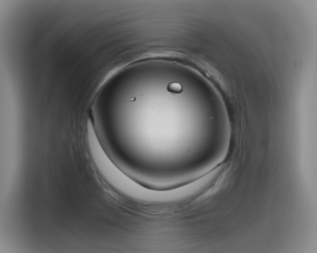 X0000115581369200911171001