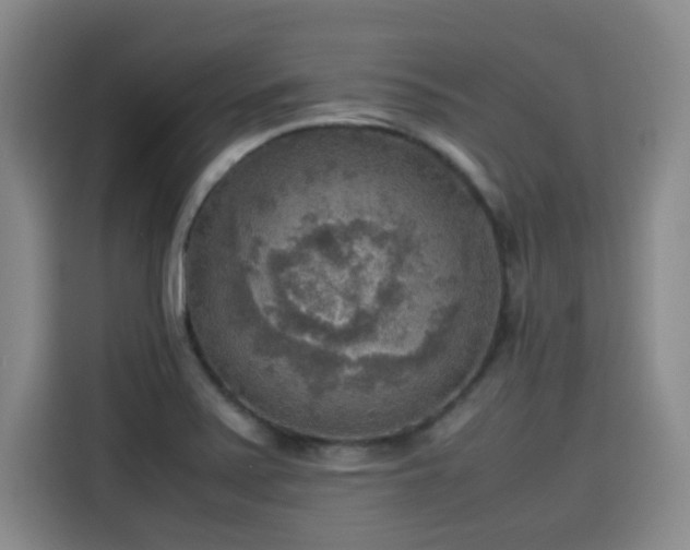 X0000115581371200911171001