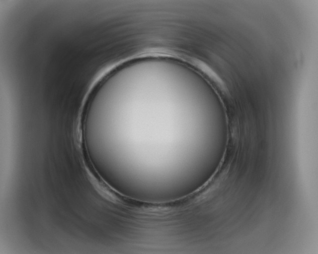 X0000115581372200911171001