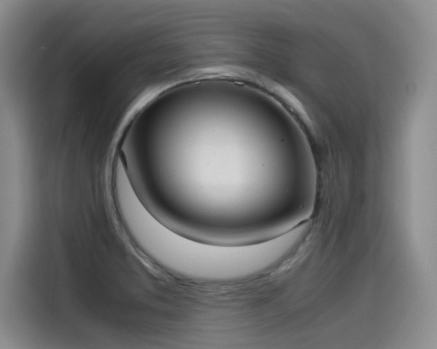 X0000115581373200911171001