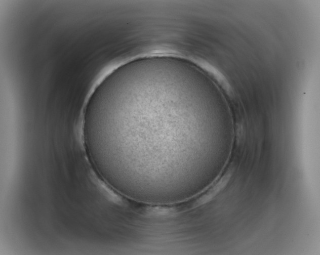 X0000115581374200911171001