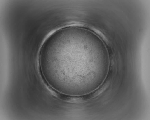 X0000115581375200911171001