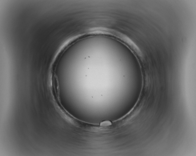 X0000115581376200911171001