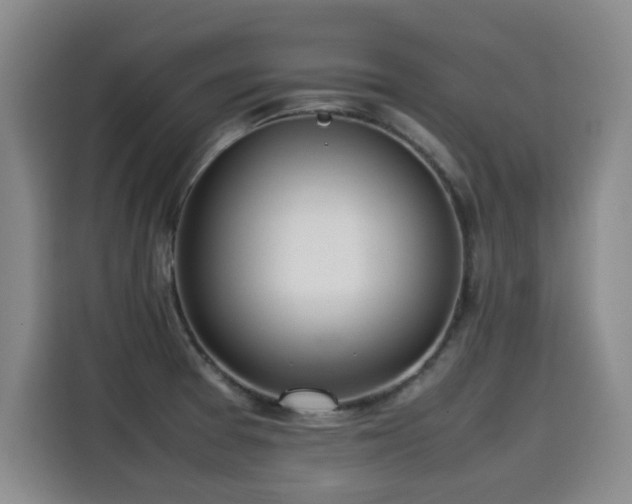 X0000115581377200911171001