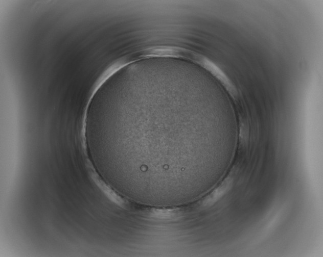 X0000115581378200911171001