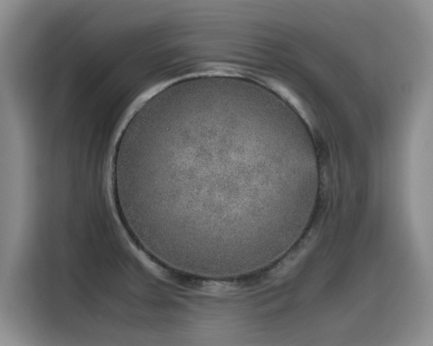 X0000115581379200911171001