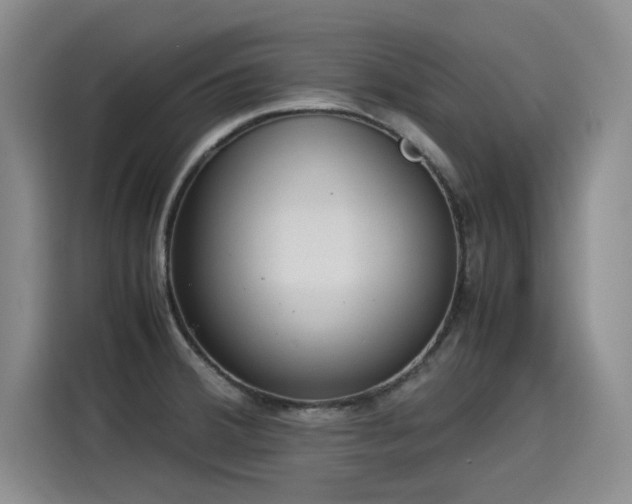 X0000115581380200911171001