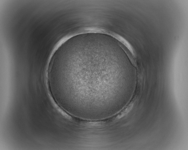 X0000115581381200911171001