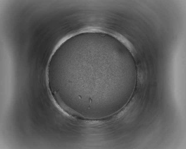 X0000115581382200911171001