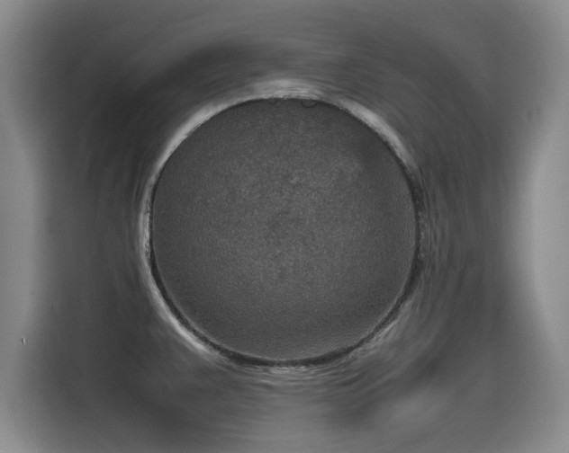 X0000115581383200911171001