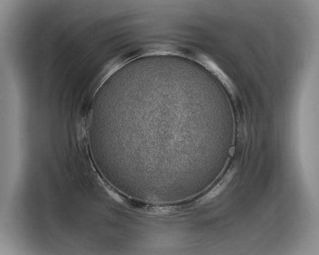 X0000115581385200911171001