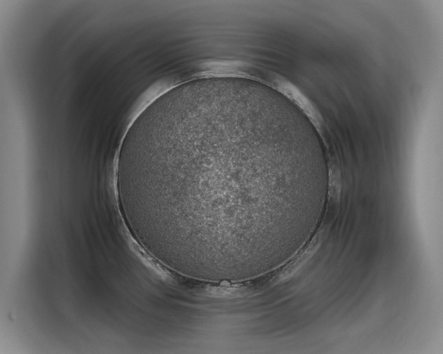 X0000115581386200911171001