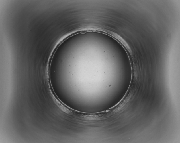 X0000115581388200911171001