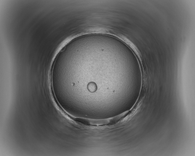 X0000115581389200911171001