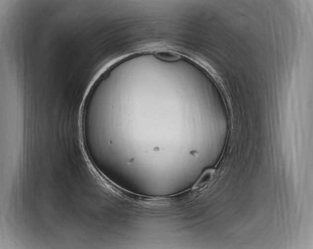 X0000115581392200911171001