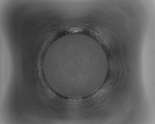 X0000115581393200911171000