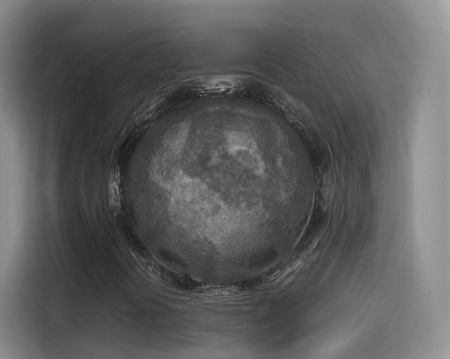 X0000115581394200911171000