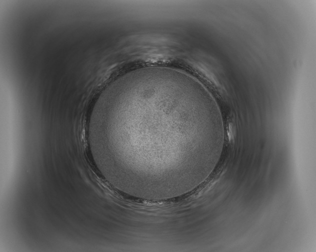 X0000115581396200911171000