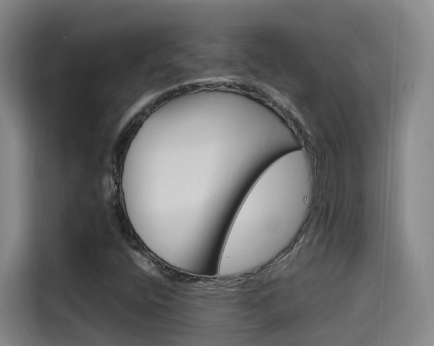 X0000115581400200911171000