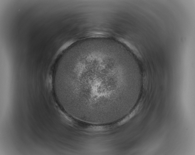 X0000115581402200911171000