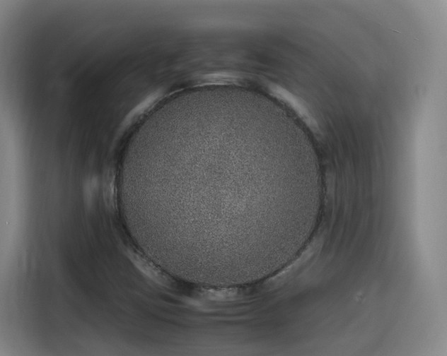 X0000115581403200911171000