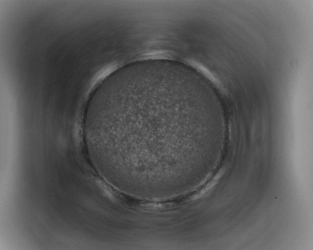 X0000115581405200911171000