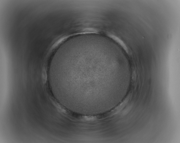 X0000115581407200911171000