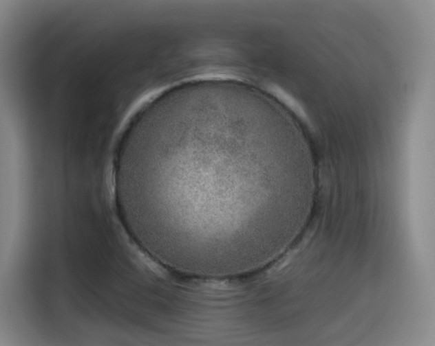 X0000115581408200911171000