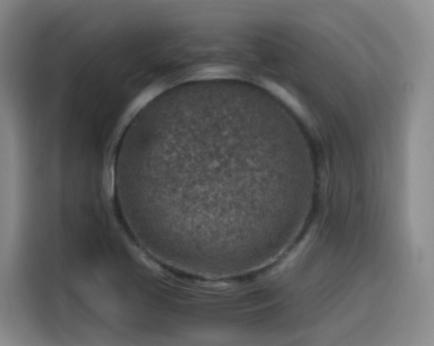 X0000115581413200911171000