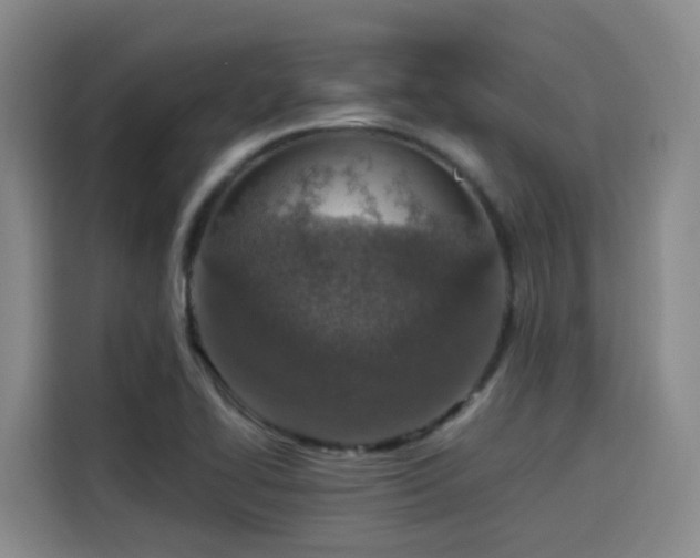 X0000115581414200911171000