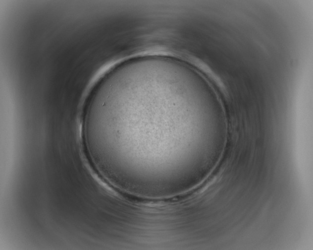 X0000115581416200911171000