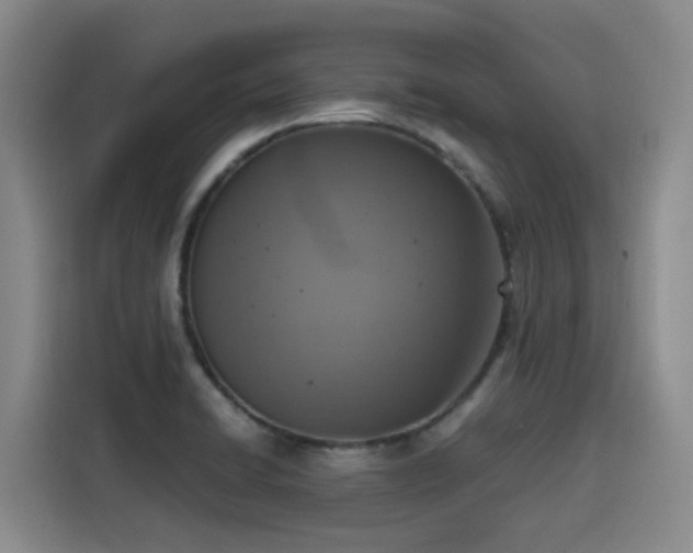 X0000115581422200911171000