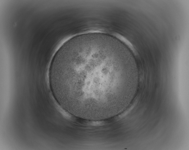 X0000115581423200911171000