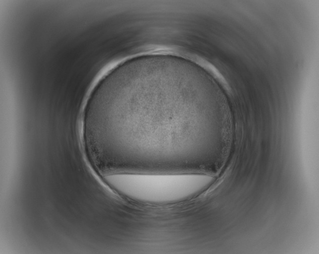 X0000115581424200911171000