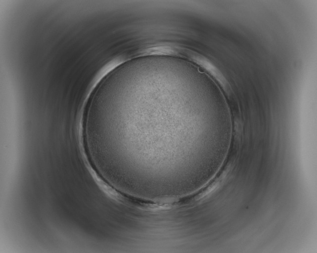 X0000115581426200911171000