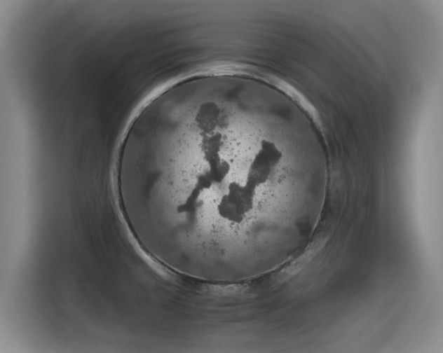 X0000115581429200911171000