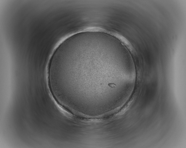 X0000115581430200911171000