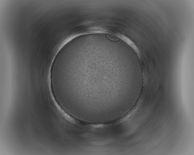 X0000115581431200911171000