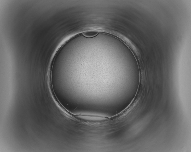 X0000115581432200911171000