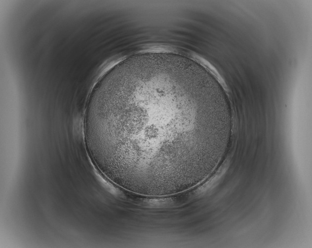 X0000115581433200911171000