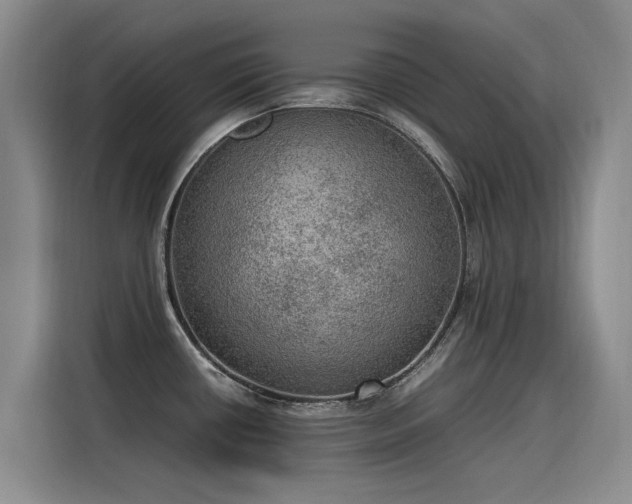 X0000115581434200911171001